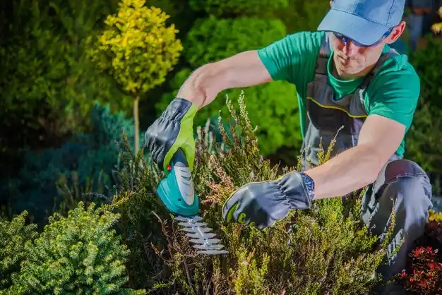 landscaping services Gramercy